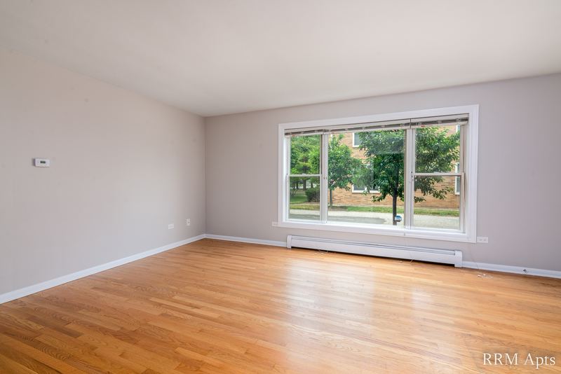 Living room with wood floor, one window looking out at lawn and trees and a baseboard radiator, Austin Avenue apartment 116 A