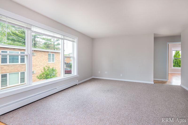 Carpeted living room with a wide window facing a brick building and a doorway to the hall, Austin Avenue apartment 118B
