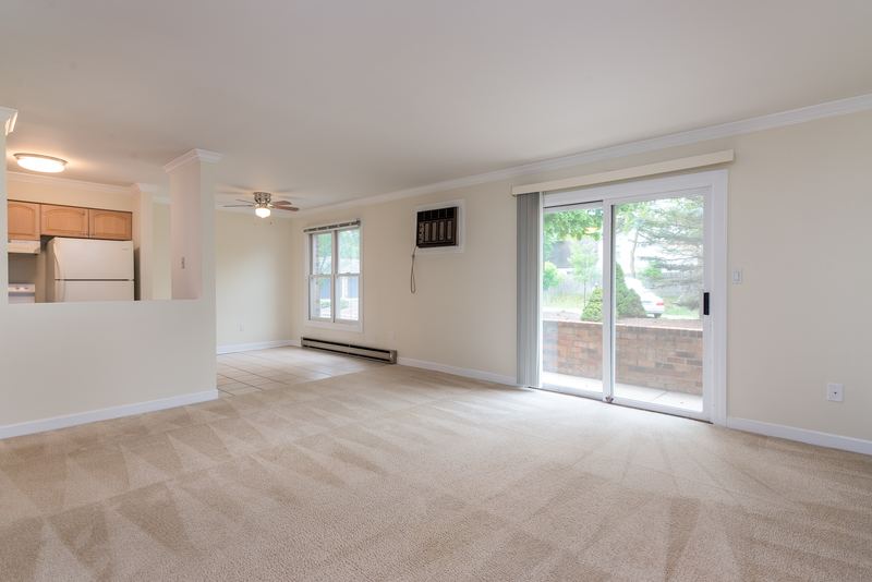 Carpeted living room with ceiling fan, sliding glass door to patio, window and kitchen pass-through, Depot Road apartment 2