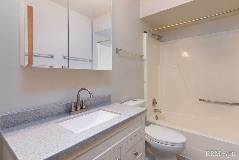 Bathroom with gray vanity top, mirrored medicine cabinet and one-piece tub and shower, Depot Road apartment 3