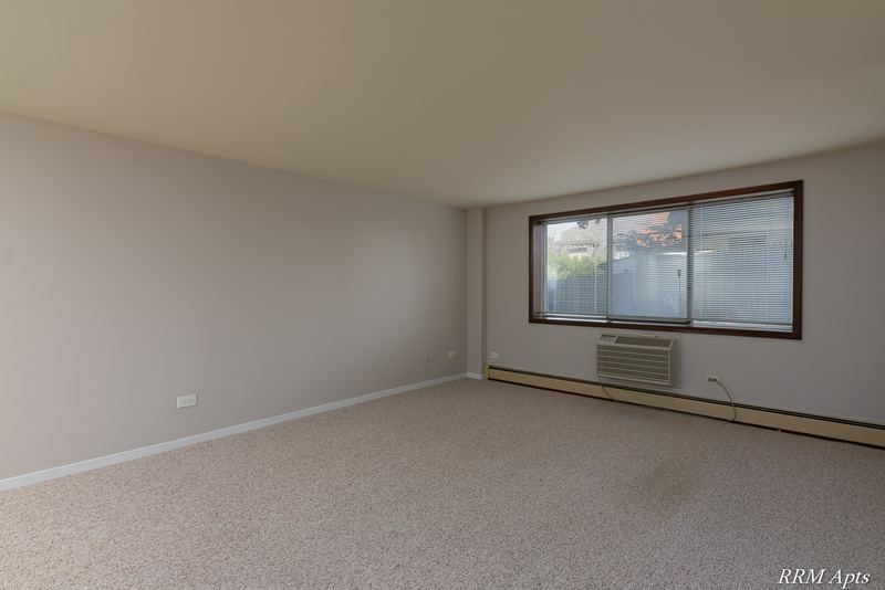 Living room with beige carpet, gray walls, a window with trees outside and baseboard heat, Maple Avenue apartment LL1