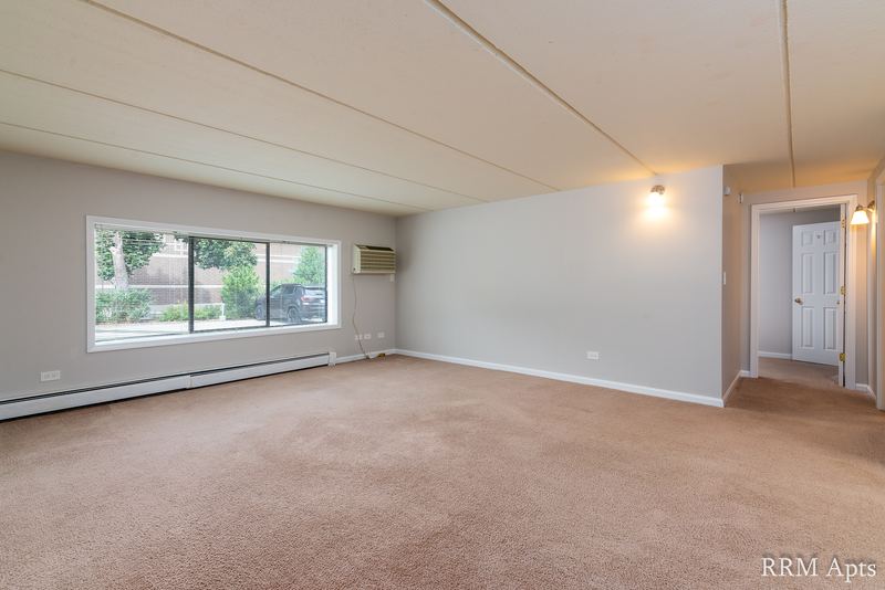 Living room with beige carpet, a wide window, wall air conditioner and baseboard heat, Maple Avenue apartment LL2