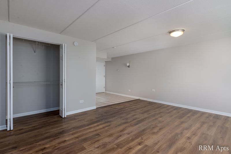 Living room with wood laminate floor, an open closet with shelf and flush ceiling light, Maple Avenue apartment LL4