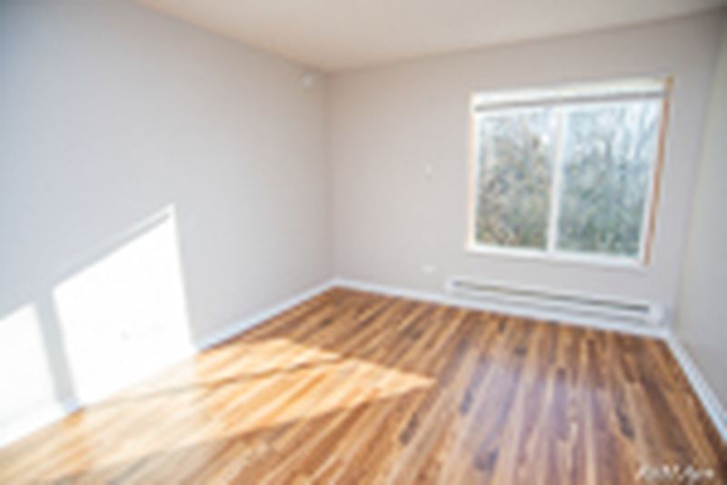 Bedroom with wood laminate floor, a window with sunlight on the floor and baseboard heat, Oriole Court apartment 2D