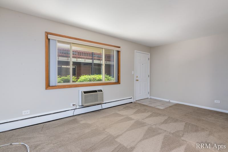 Living room with beige carpet, window with shrubs outside and a wall air conditioner, Park Avenue apartment 607 103