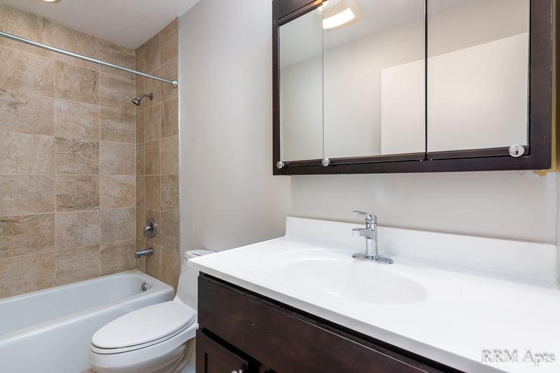 Bathroom with tan tile tub surround, toilet, dark brown vanity and mirrored cabinet, Pistakee Road apartment 1A