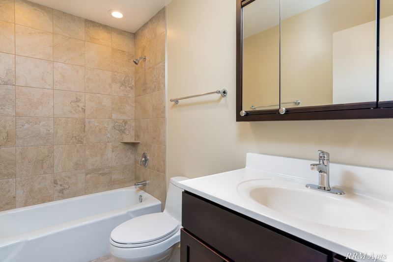 Bathroom with tan tile shower surround, white tub, toilet and dark vanity with mirror cabinet, Pistakee Road apartment 1C