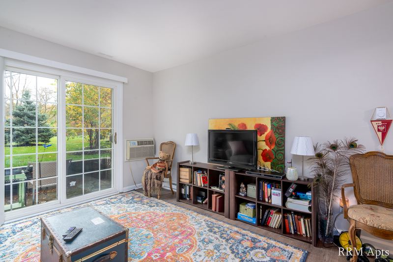 Living room with patterned rug, TV stand, bookshelves and a sliding glass door, Prairie Ridge apartment 9718 GC